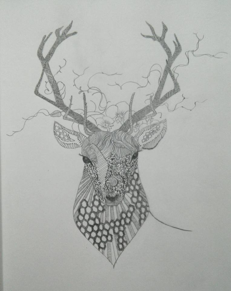 Deer