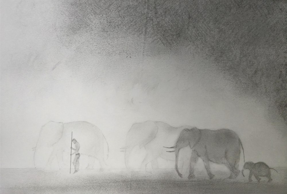 Elephants