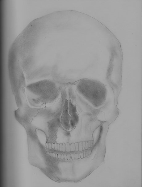 Skull
